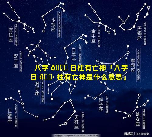 八字 🐋 日柱有亡神「八字日 🌷 柱有亡神是什么意思」